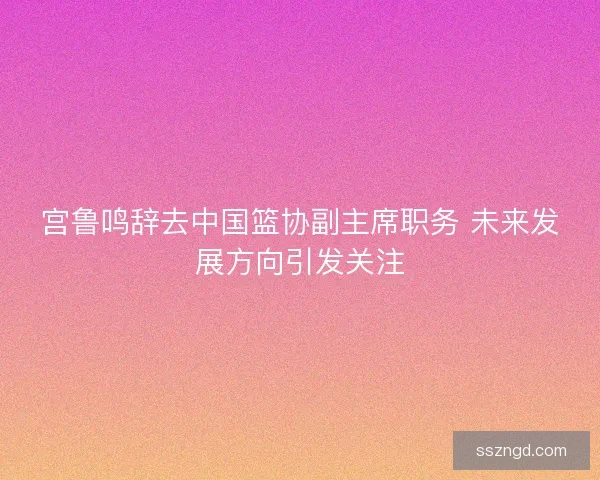 宫鲁鸣辞去中国篮协副主席职务 未来发展方向引发关注